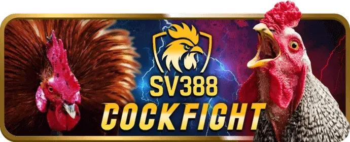 Chương trình Affiliate e888