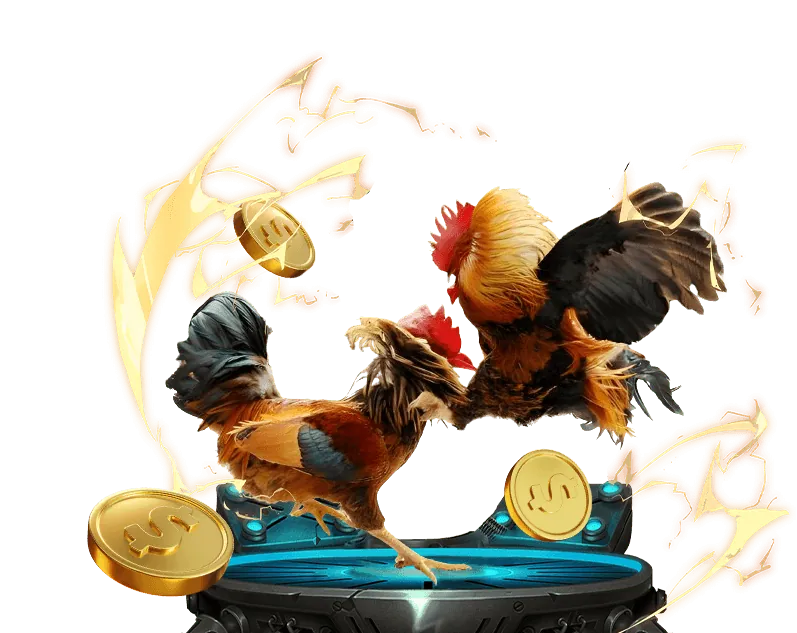 Giá trị cốt lõi của Coi Đá Gà Thomo